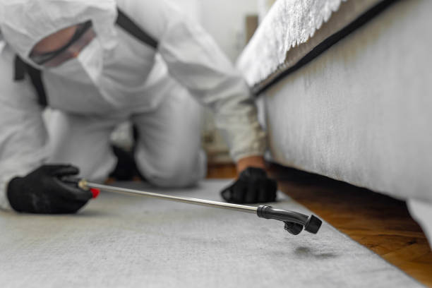 Professional Termite Control technician working in Walton Park, NY